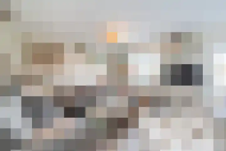 Beukmolen 42 Papendrecht thumbnail 7