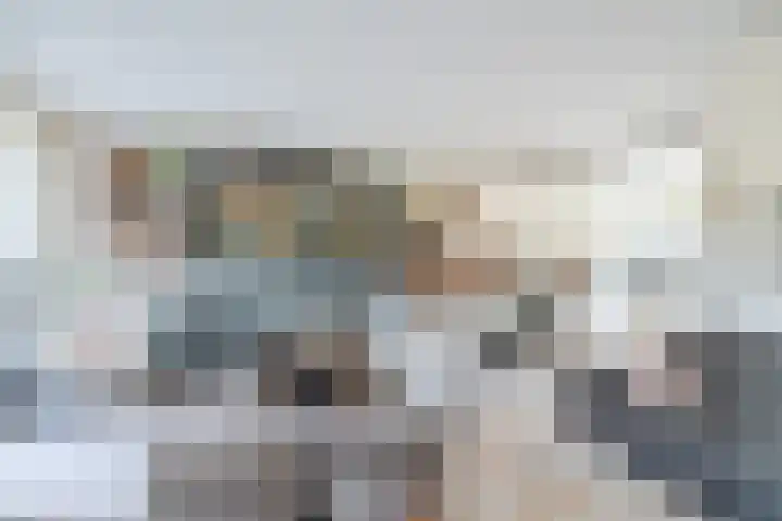 Beukmolen 42 Papendrecht thumbnail 8