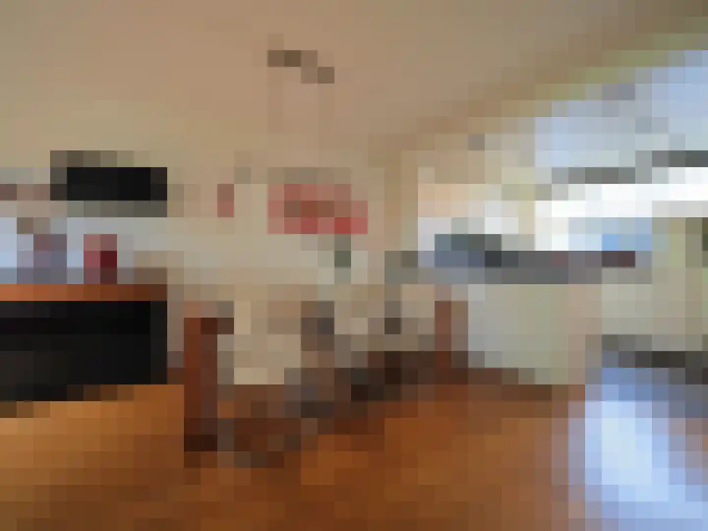 Beukmolen 50 Papendrecht thumbnail 10