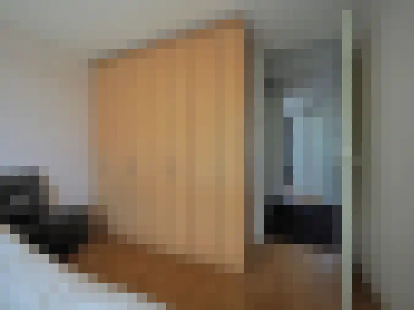 Beukmolen 50 Papendrecht thumbnail 20
