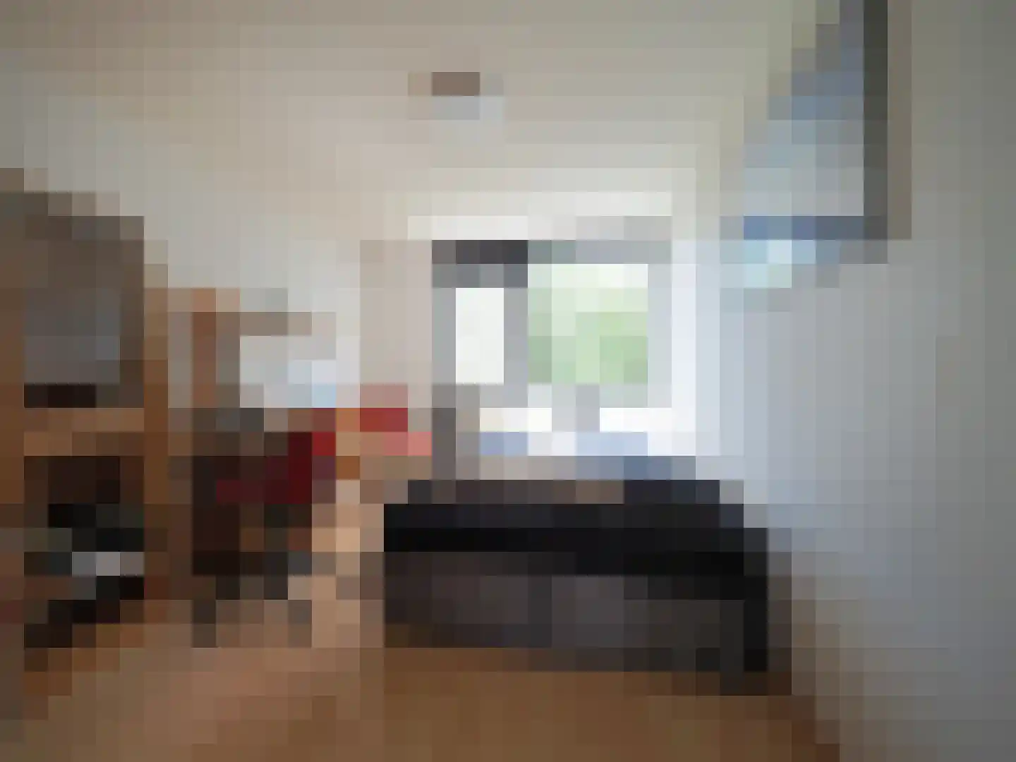 Beukmolen 50 Papendrecht thumbnail 21
