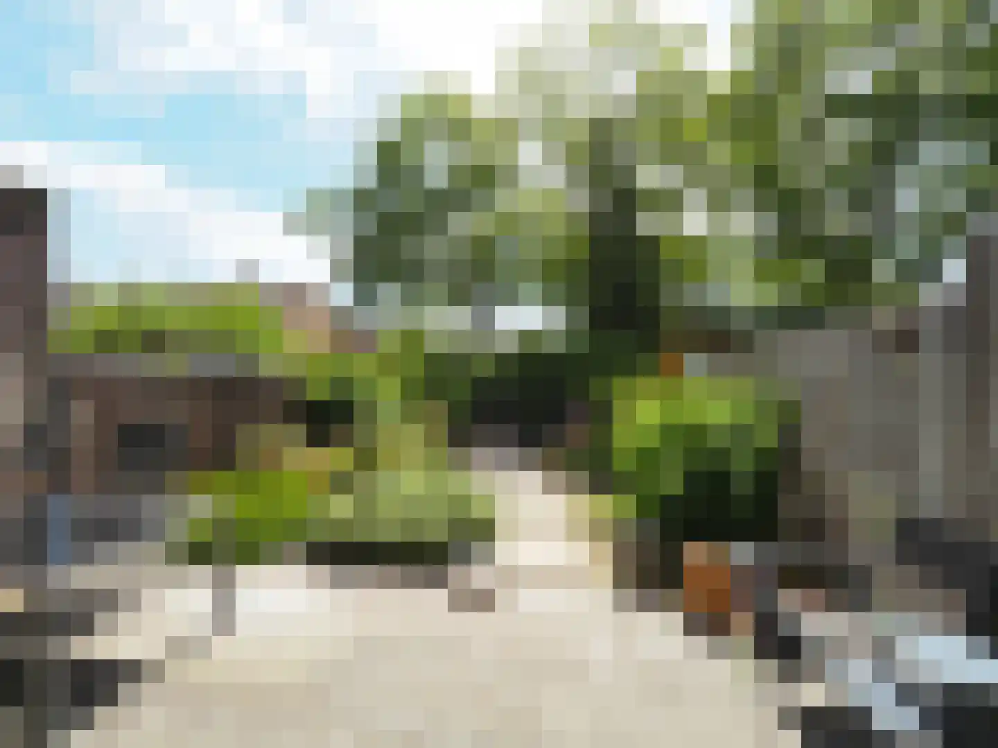 Beukmolen 50 Papendrecht thumbnail 33