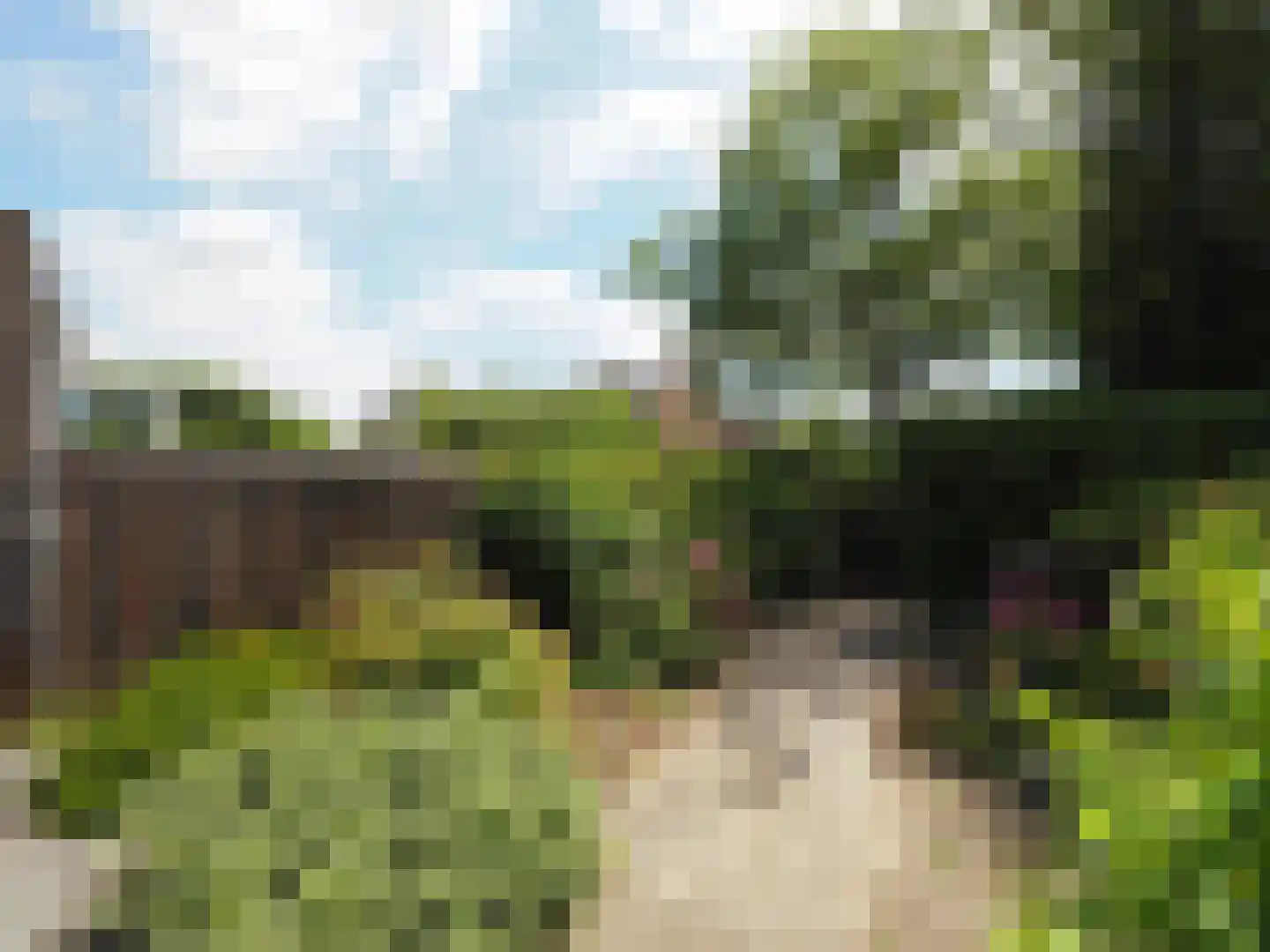 Beukmolen 50 Papendrecht thumbnail 34
