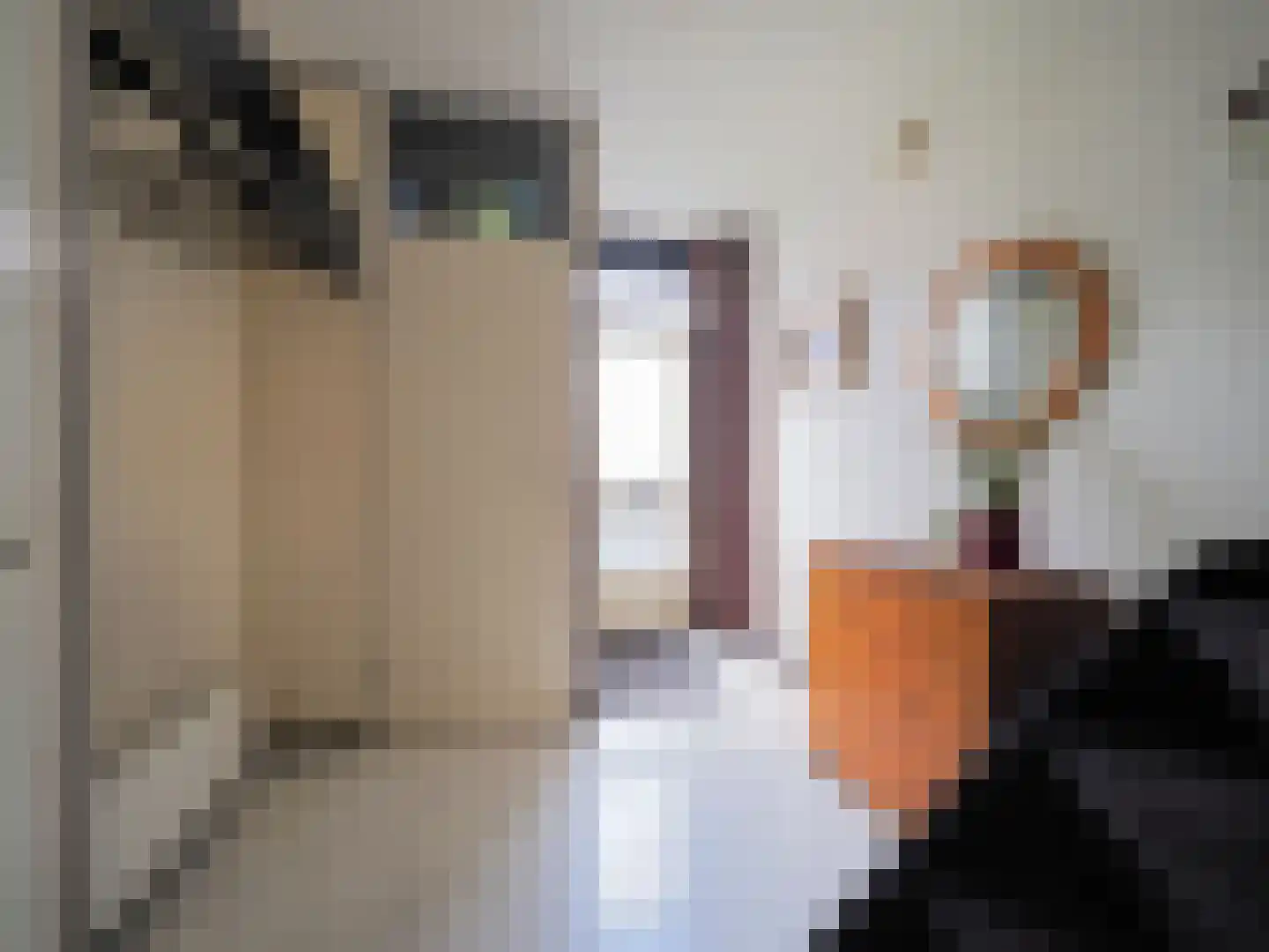 Beukmolen 50 Papendrecht thumbnail 5
