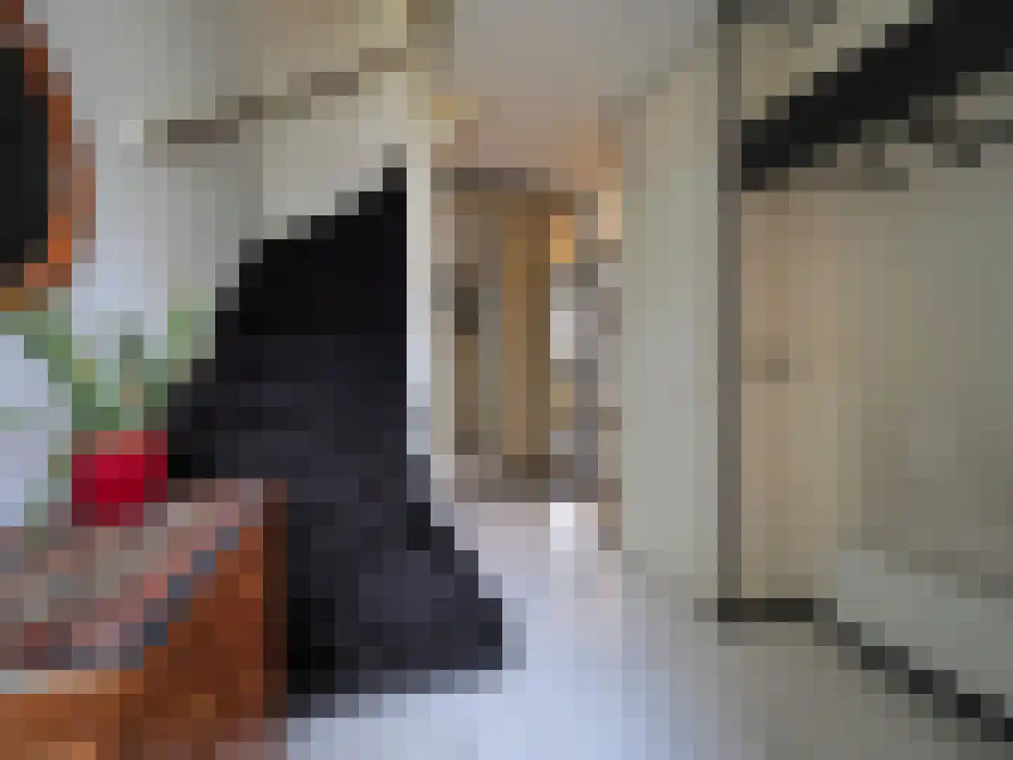Beukmolen 50 Papendrecht thumbnail 6