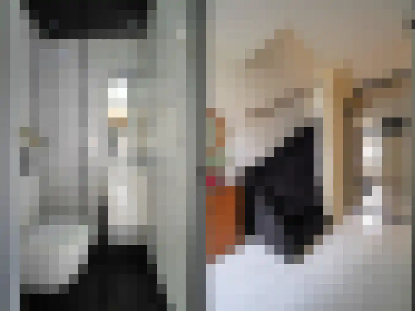 Beukmolen 50 Papendrecht thumbnail 7