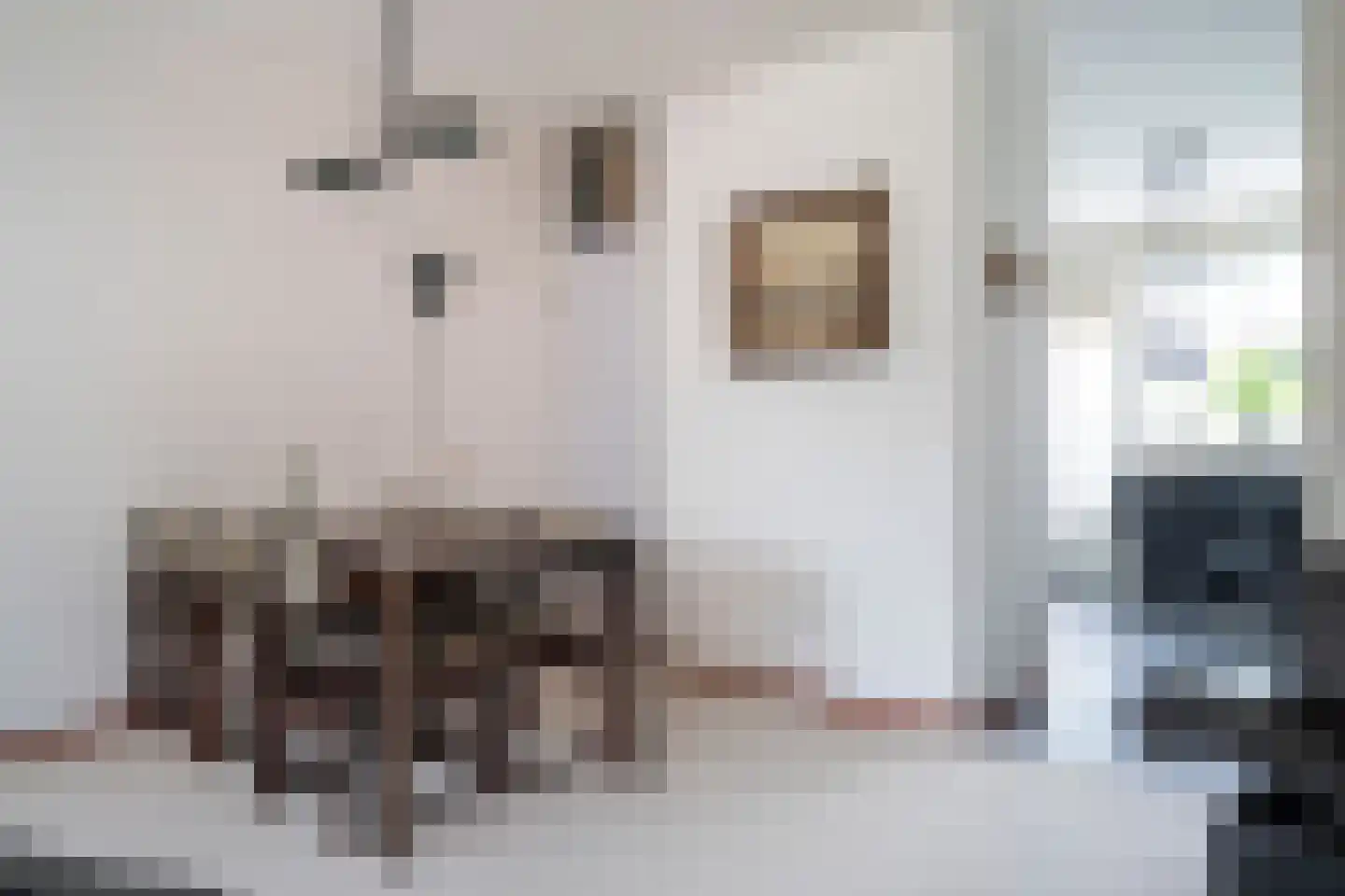 Beukmolen 51 Papendrecht thumbnail 10