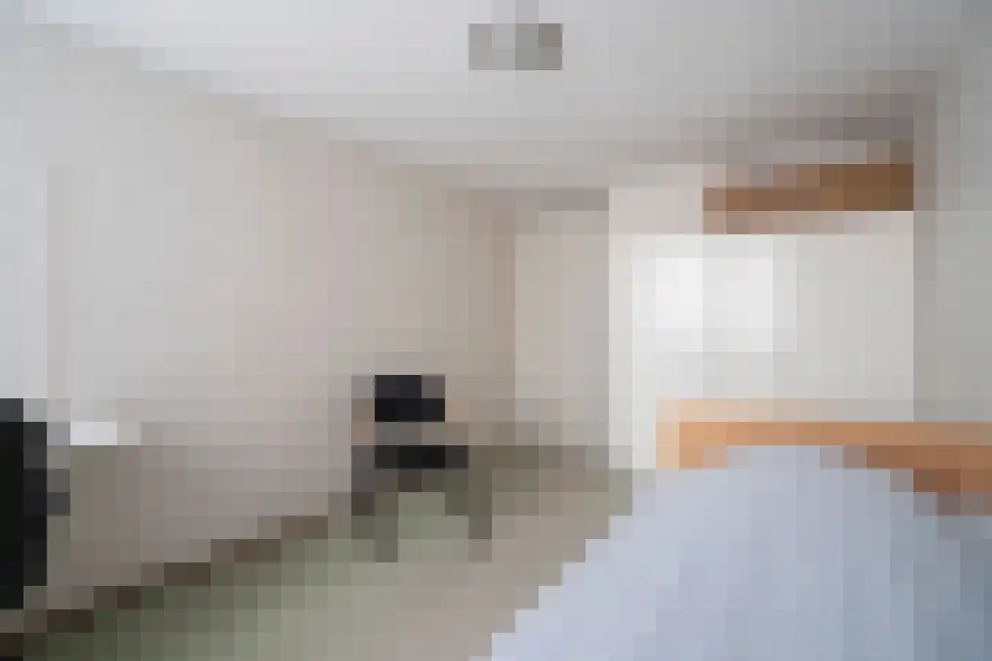 Beukmolen 51 Papendrecht thumbnail 20