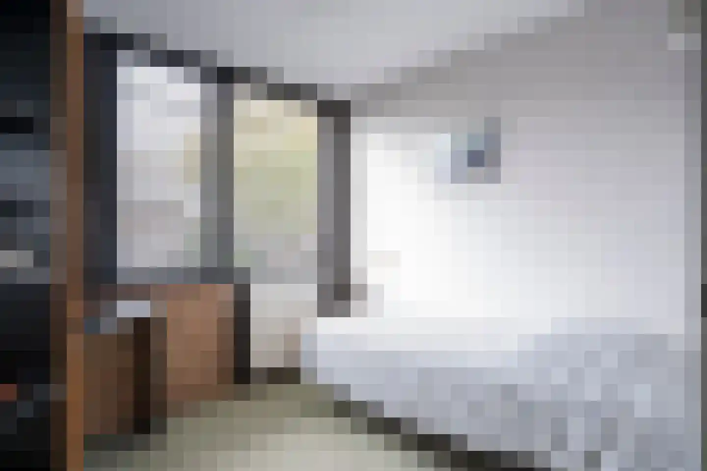 Beukmolen 51 Papendrecht thumbnail 21