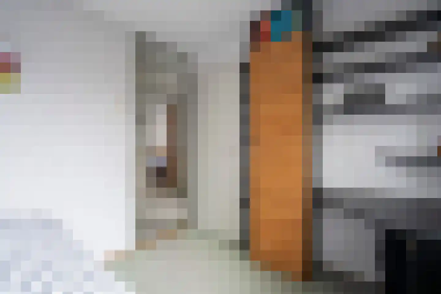 Beukmolen 51 Papendrecht thumbnail 22