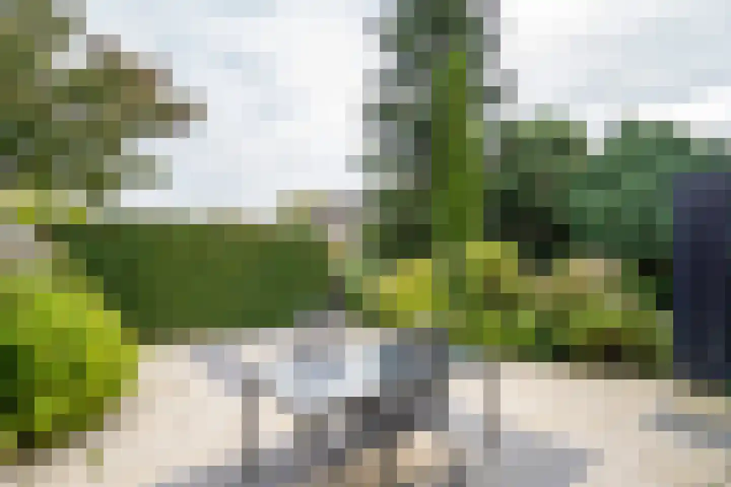 Beukmolen 51 Papendrecht thumbnail 28