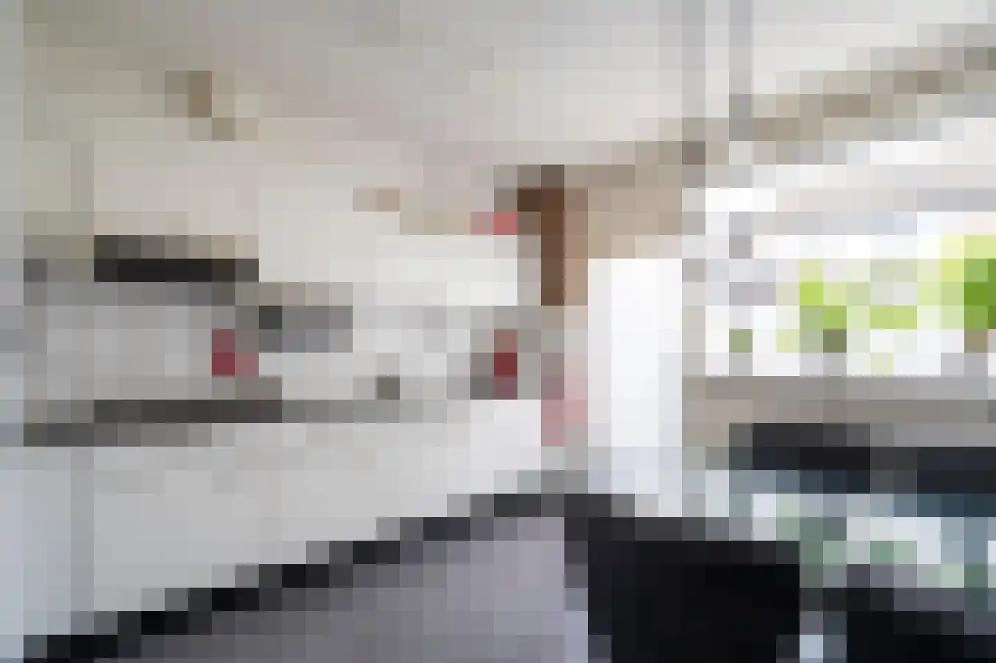 Beukmolen 51 Papendrecht thumbnail 4
