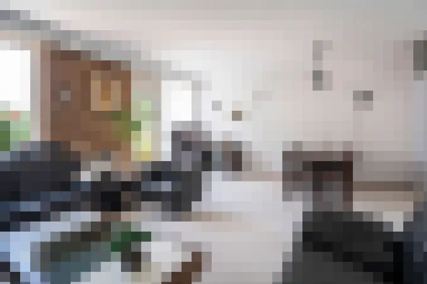 Beukmolen 51 Papendrecht thumbnail 8