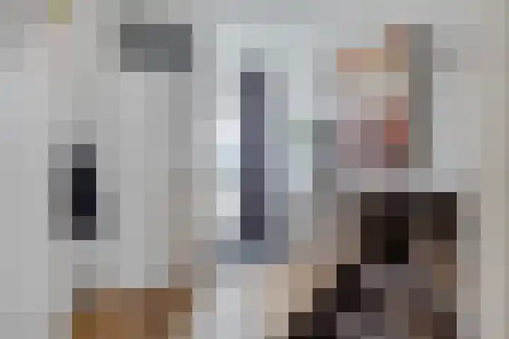 Beukmolen 52 Papendrecht thumbnail 11