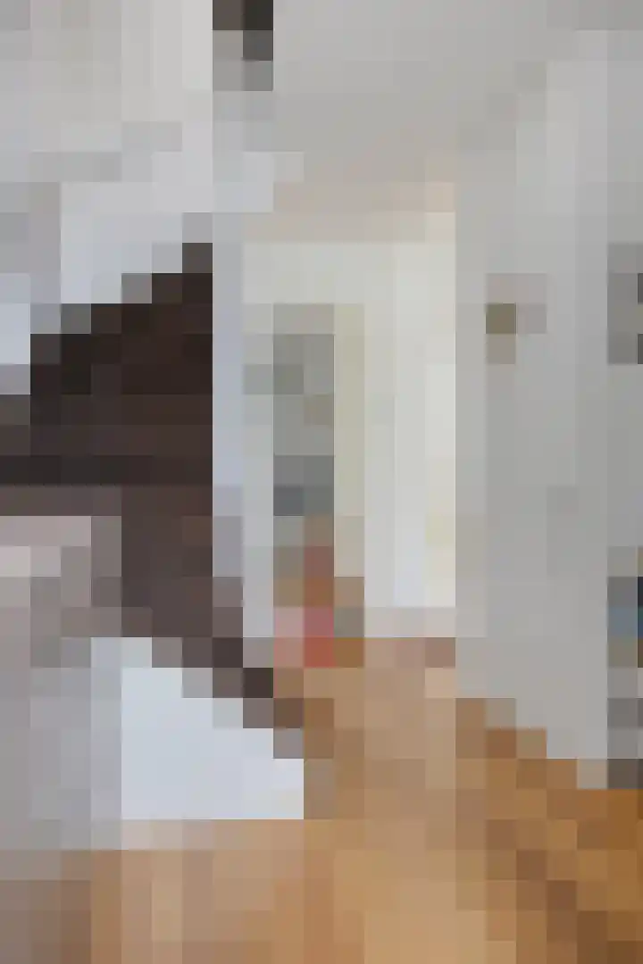 Beukmolen 52 Papendrecht thumbnail 12