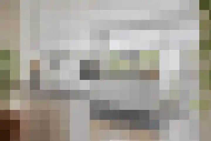 Beukmolen 52 Papendrecht thumbnail 17