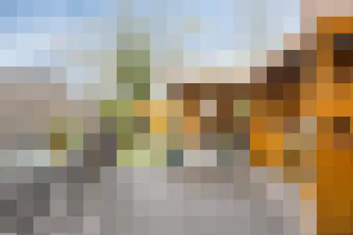 Beukmolen 52 Papendrecht thumbnail 38