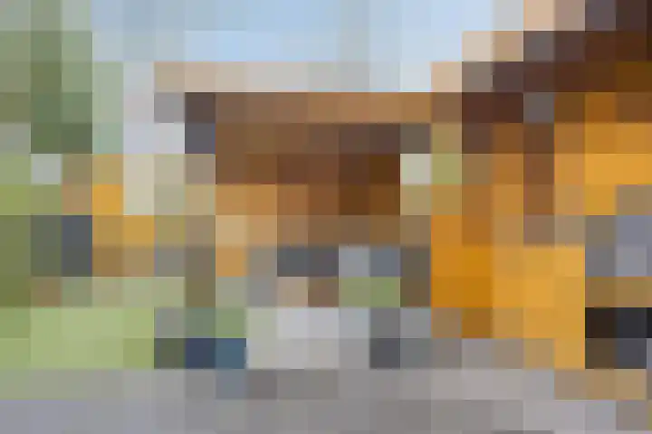 Beukmolen 52 Papendrecht thumbnail 39