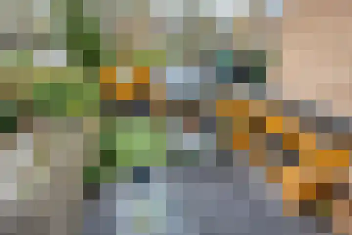 Beukmolen 52 Papendrecht thumbnail 4