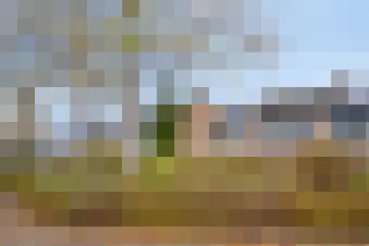 Beukmolen 52 Papendrecht thumbnail 5