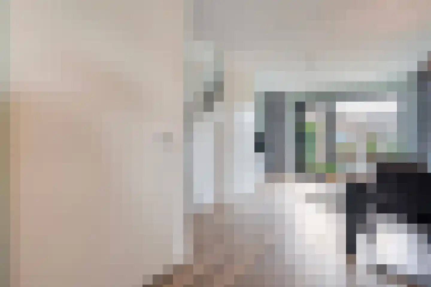 Beukmolen 7 Zwolle thumbnail 10