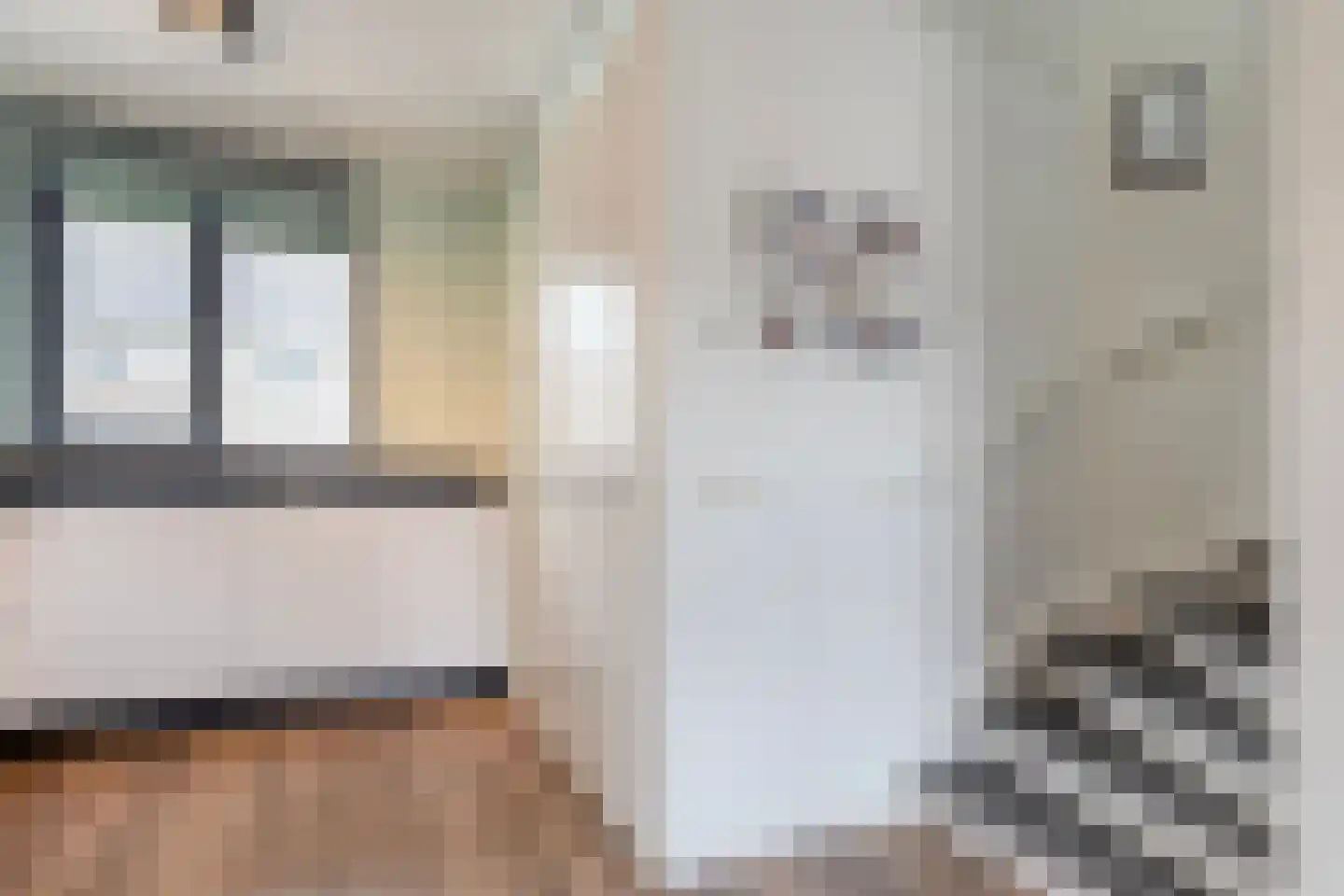 Beukmolen 7 Zwolle thumbnail 13
