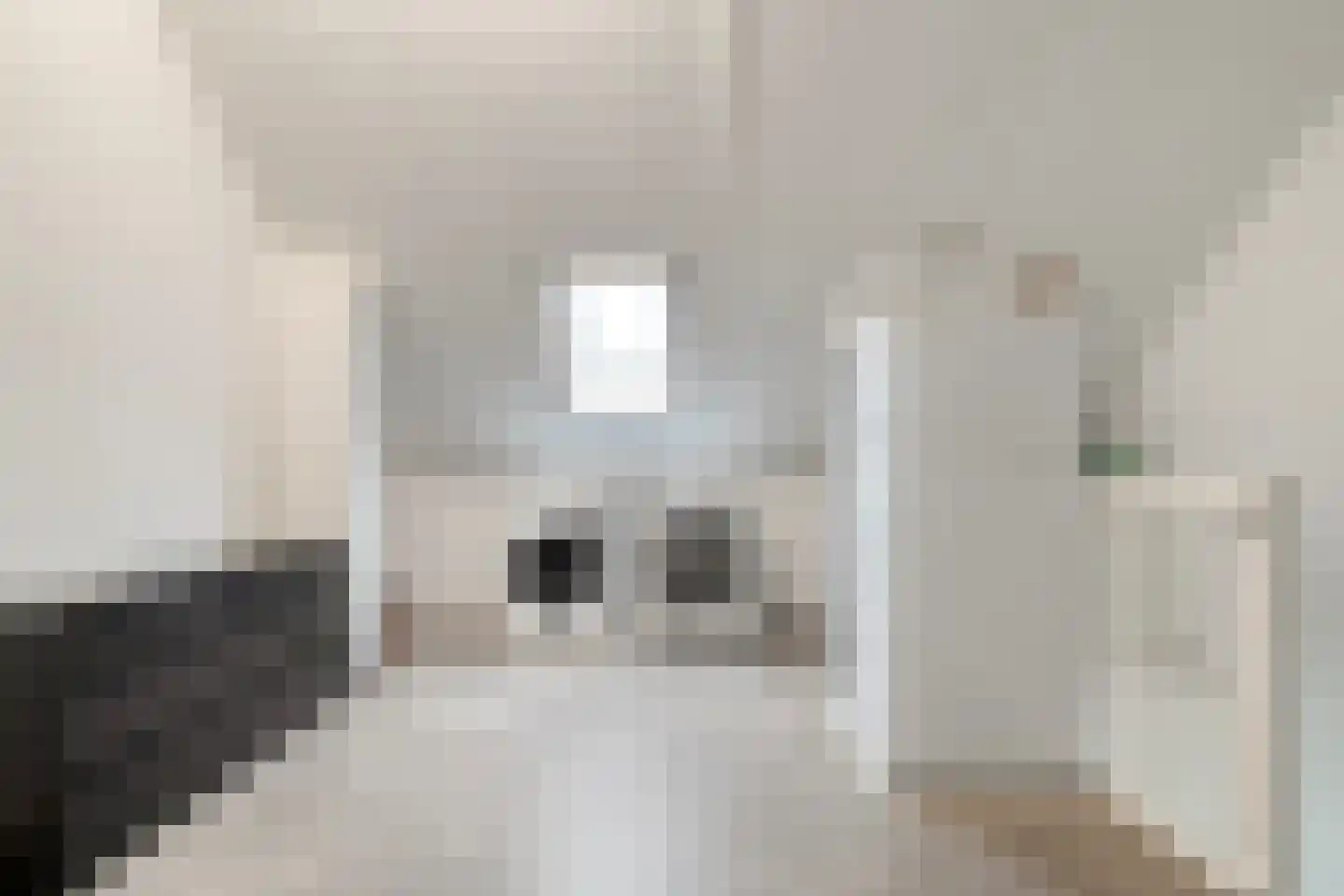 Beukmolen 7 Zwolle thumbnail 21