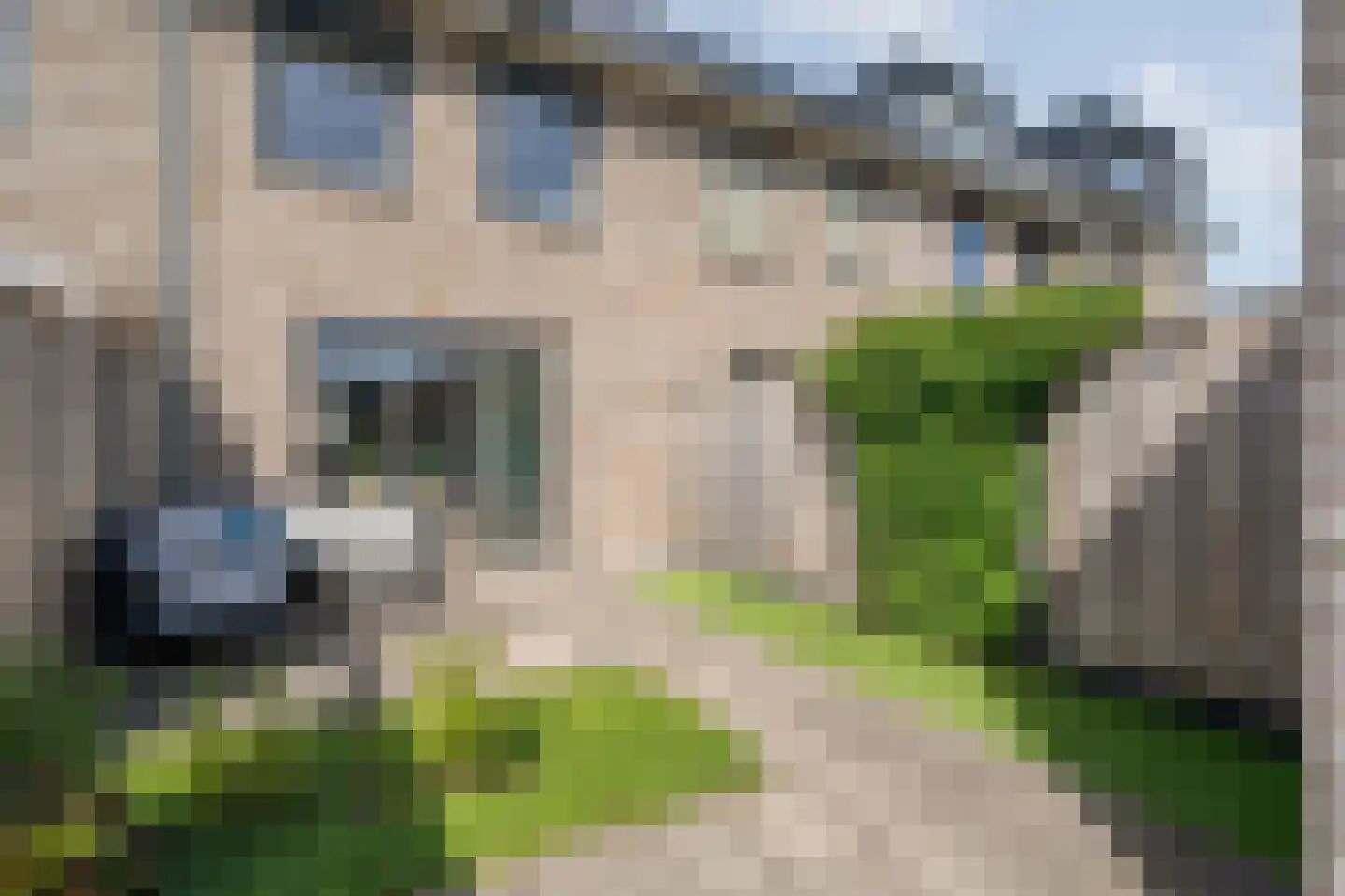 Beukmolen 7 Zwolle thumbnail 23