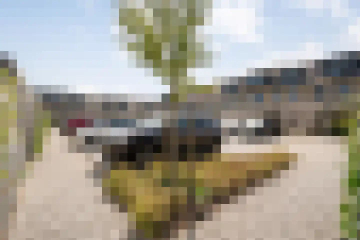 Beukmolen 7 Zwolle thumbnail 27