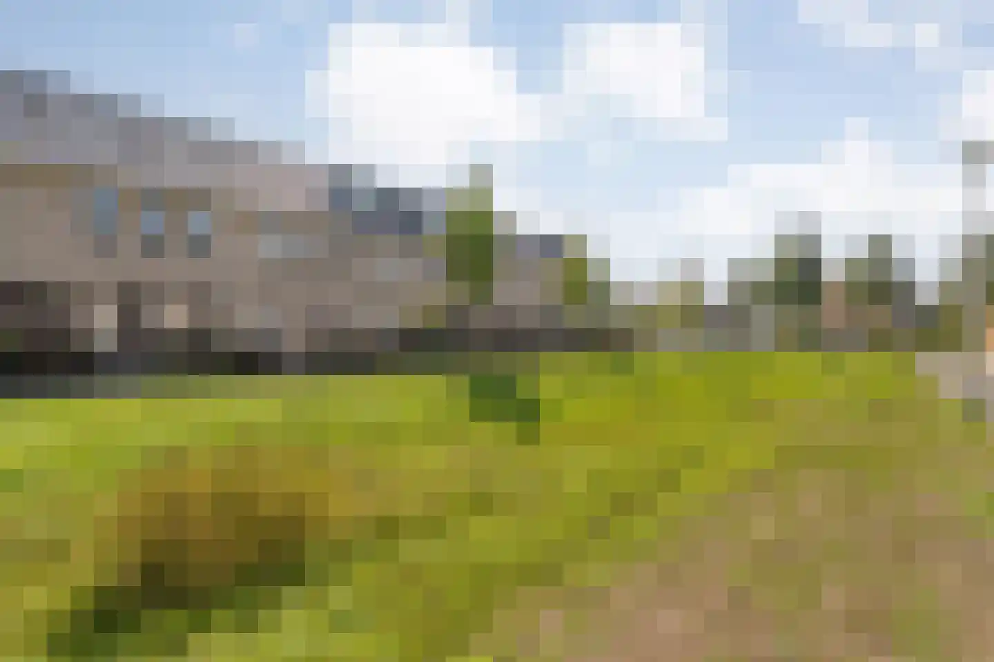 Beukmolen 7 Zwolle thumbnail 30