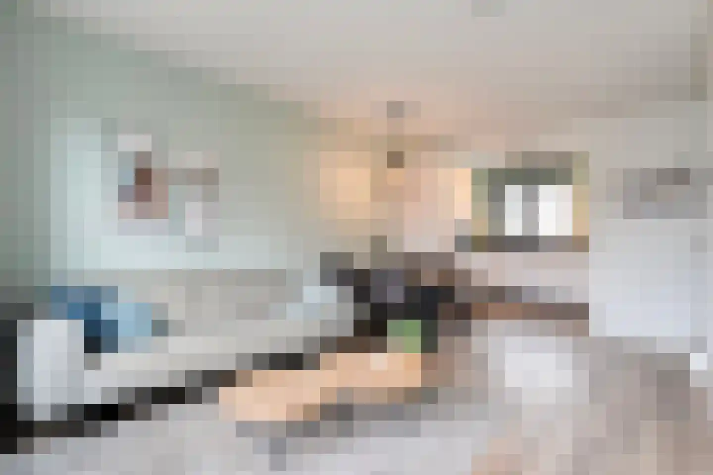 Beukmolen 7 Zwolle thumbnail 4