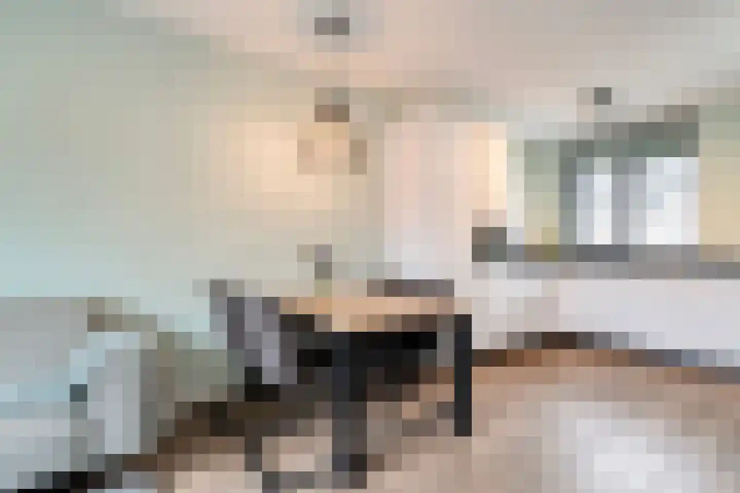 Beukmolen 7 Zwolle thumbnail 8