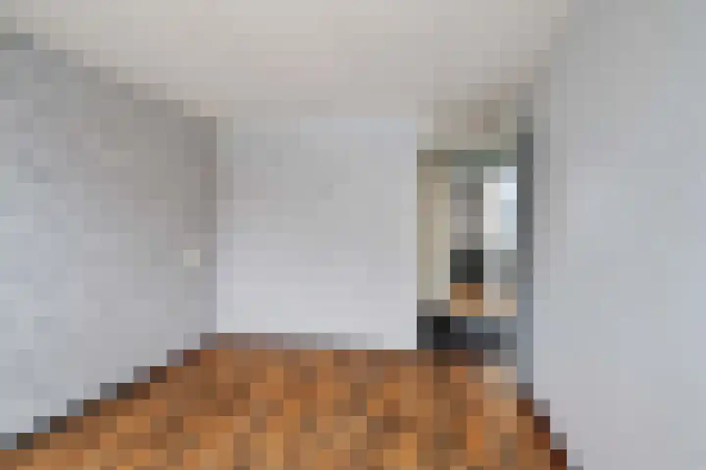 Beukmolen 96 Papendrecht thumbnail 18