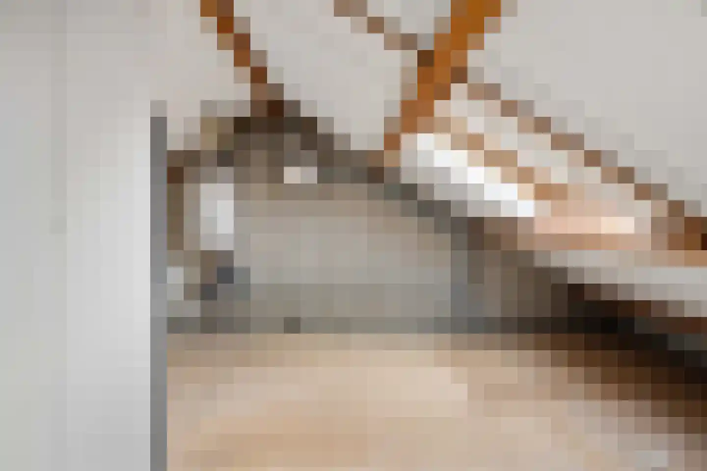 Beukmolen 96 Papendrecht thumbnail 29