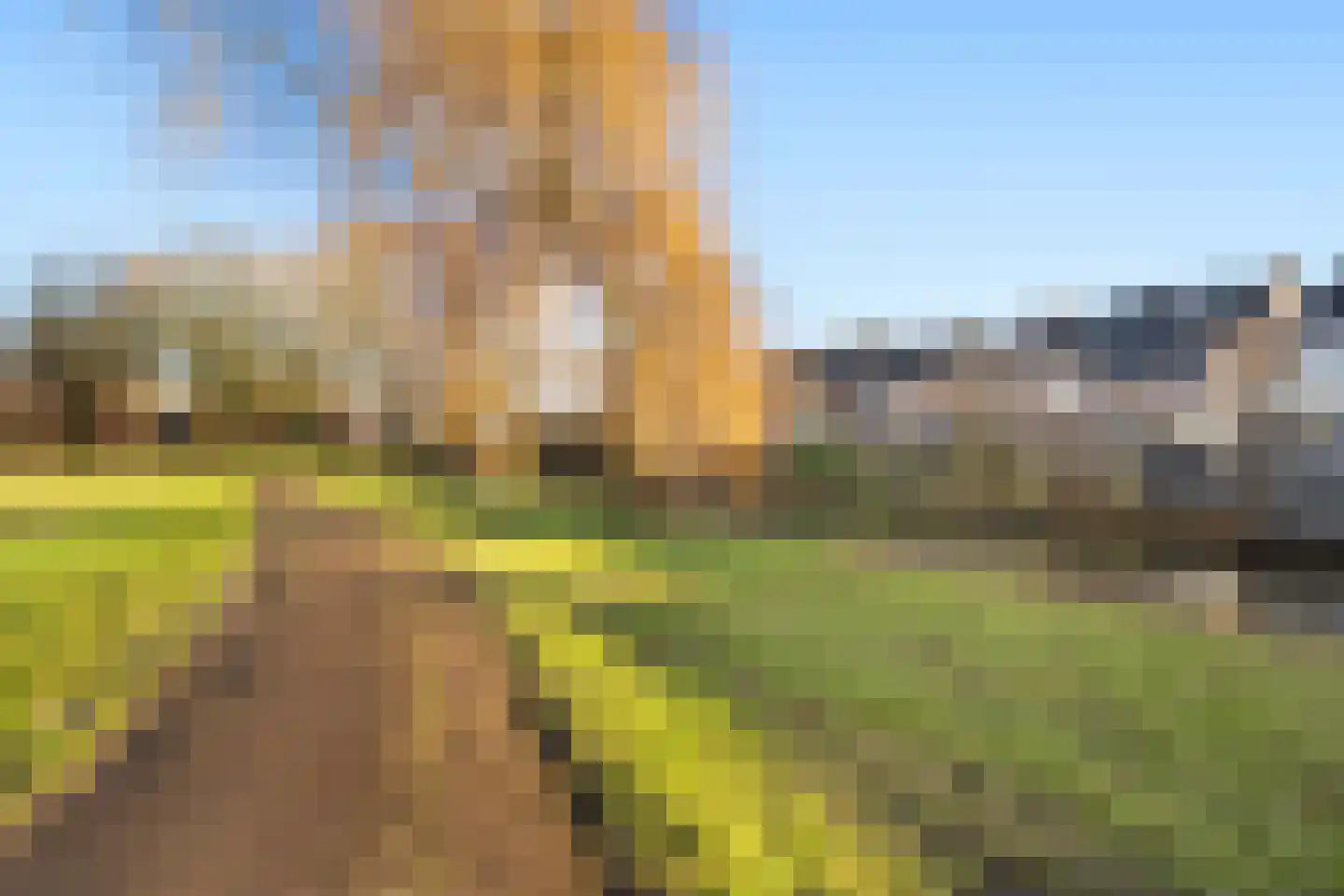 Beukmolen 96 Papendrecht thumbnail 38