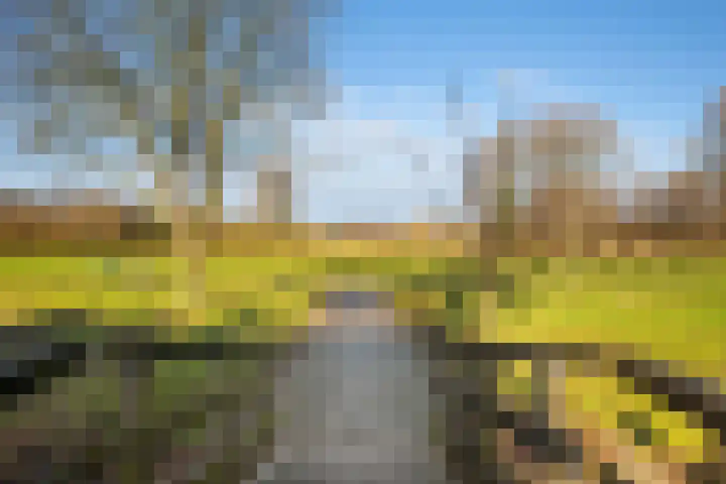 Beukmolen 96 Papendrecht thumbnail 39