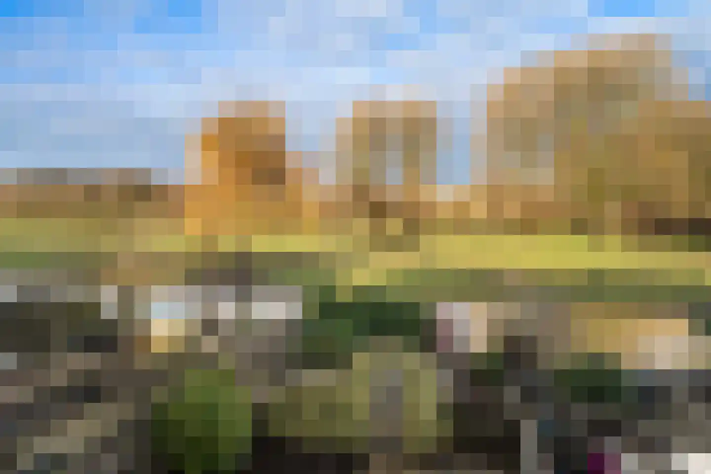 Beukmolen 96 Papendrecht thumbnail 8