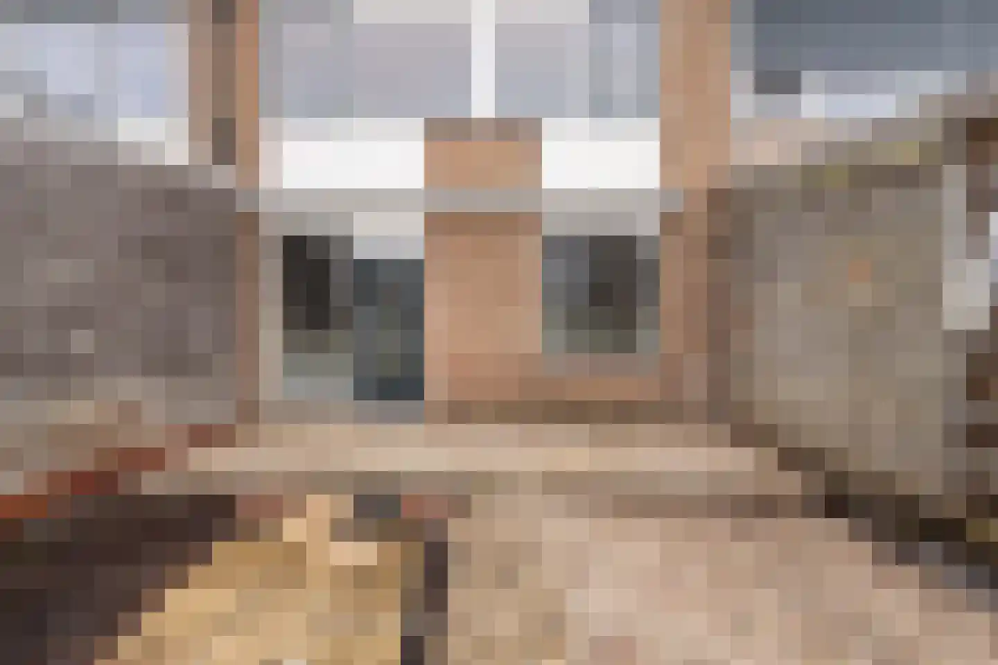 Beukmolen 96 Papendrecht thumbnail 9