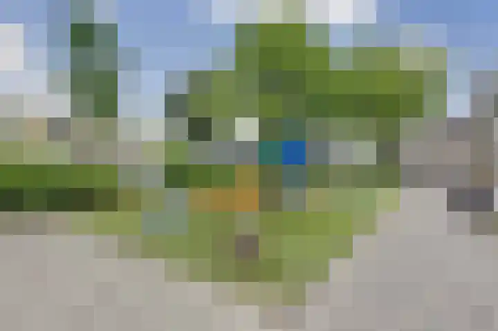 Beukmolenplantsoen 16 Gouda thumbnail 34