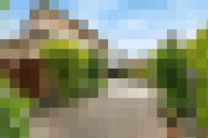 Beukstraat 11 Echt thumbnail 40