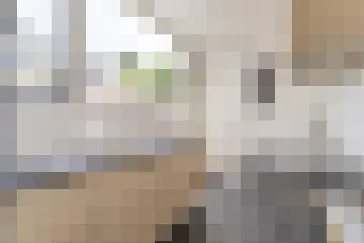 Beukstraat 11 Utrecht thumbnail 12