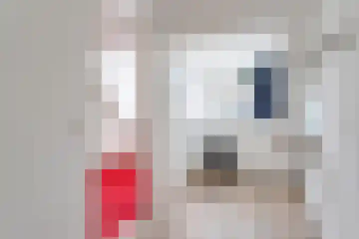 Beukstraat 11 Utrecht thumbnail 18