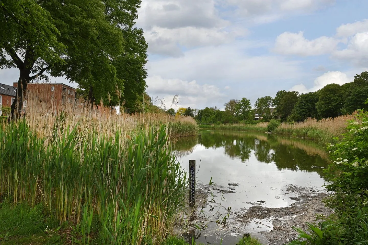 Beukstraat 116 Bergen op Zoom thumbnail 36