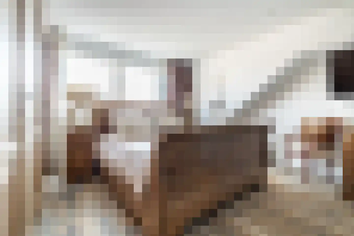 Beukstraat 17 Breda thumbnail 24