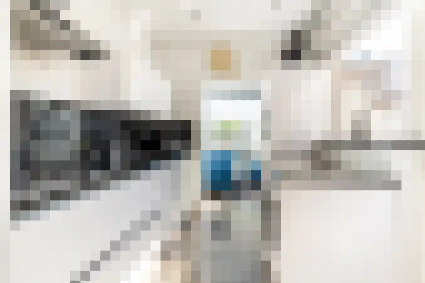 Beukstraat 17 Breda thumbnail 4