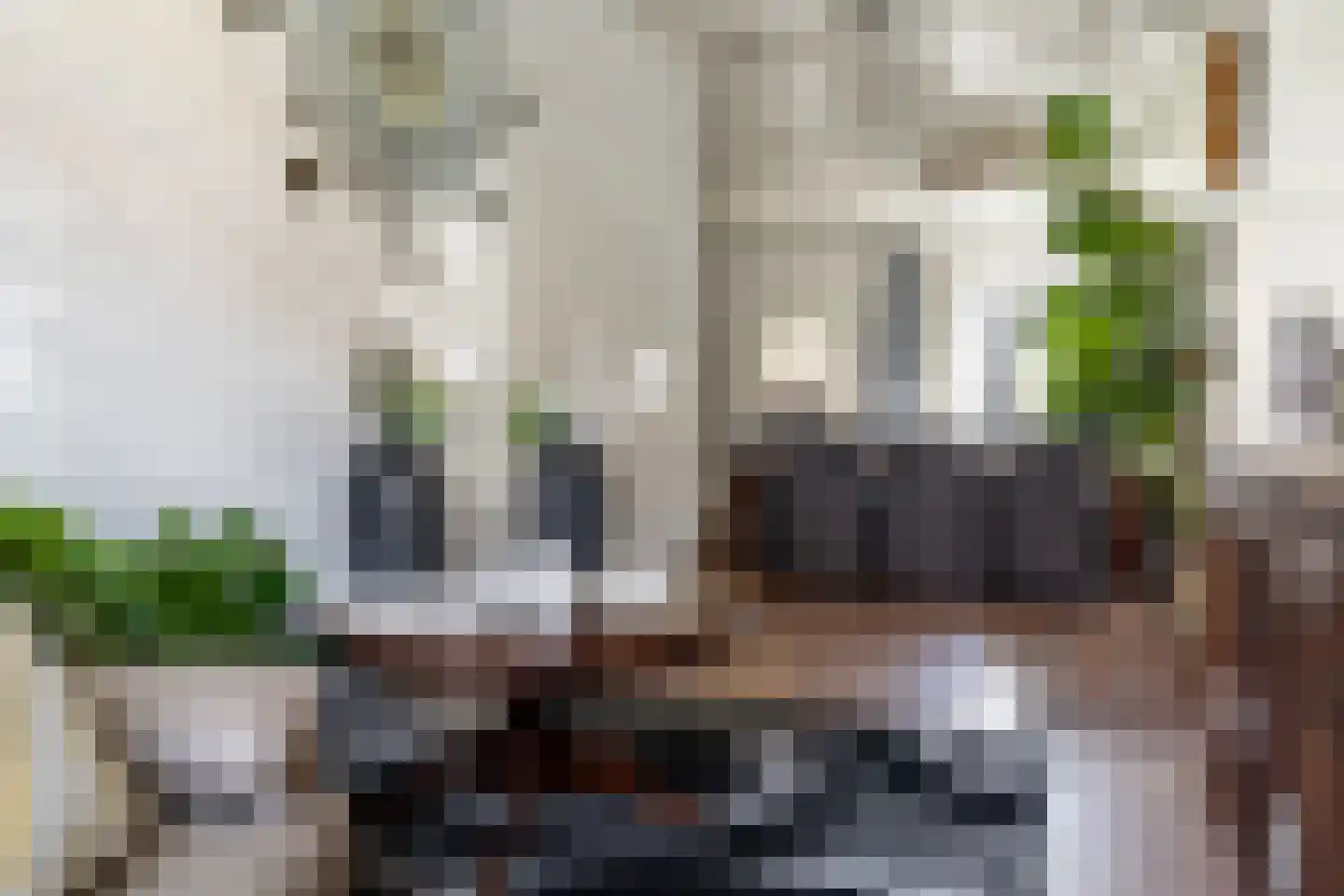 Beukstraat 17 Breda thumbnail 7