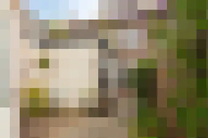 Beukstraat 20 Breda thumbnail 28