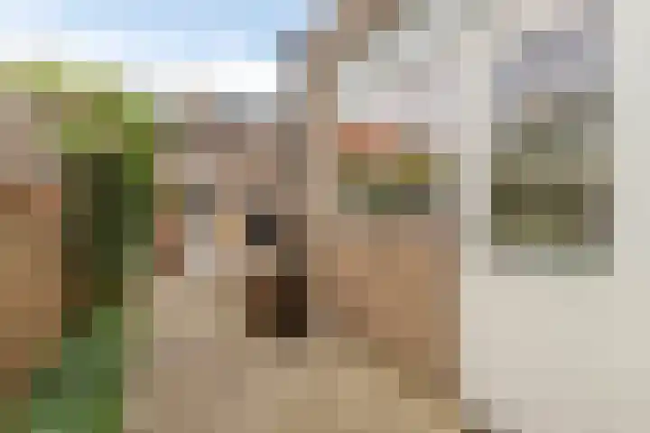 Beukstraat 20 Breda thumbnail 30