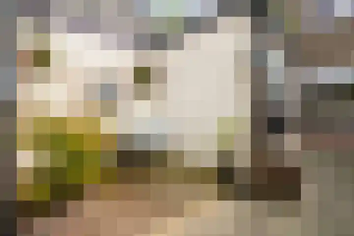 Beukstraat 20 Breda thumbnail 31