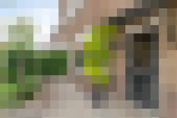 Beukstraat 20 Breda thumbnail 7
